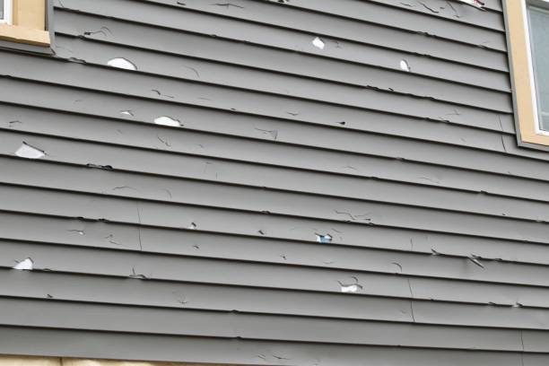 Best Custom Trim and Detailing for Siding  in Greentown, OH